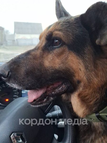 «Все життя у двох причепах», – із Малої Рибиці Миропільської громади евакуювалася жінка, яка знімала відео про ворожі дрони на оптоволокні