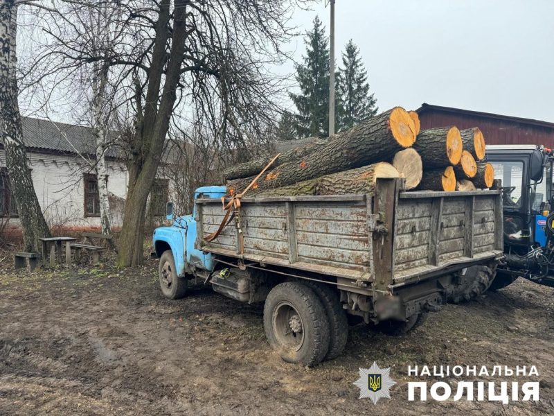 У Конотопі поліція викрила групу крадіїв деревини