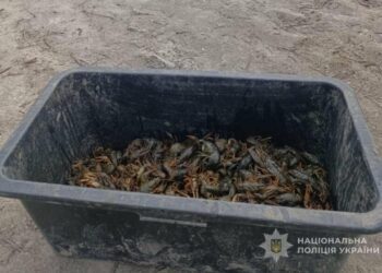 Лебединські поліцейські викрили чоловіків у незаконному вилові раків