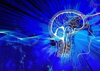 Вчені вперше відтворили нервовий контур мозку