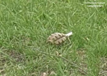 Схожий на гранату предмет знову знайшли в Сумах