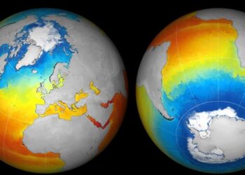 Зростання температури океану б є рекорди – дослідження