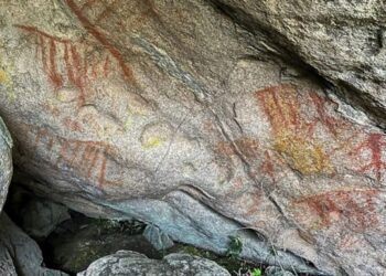 У Бразилії випадково знайшли 3000-річні наскельні малюнки