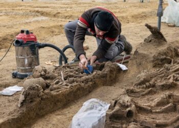 У Відні знайшли масове поховання римських воїнів віком 2000 років