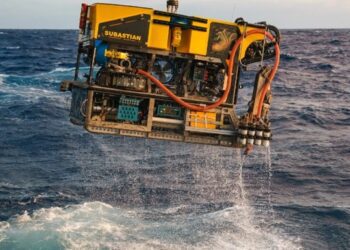 Колосального кальмара вперше побачили в глибинах океану