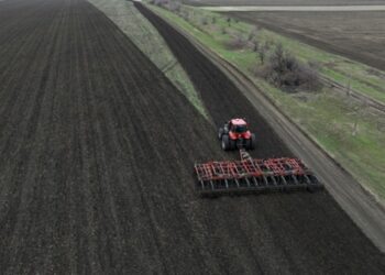 В Україні розпочали сівбу соняшнику