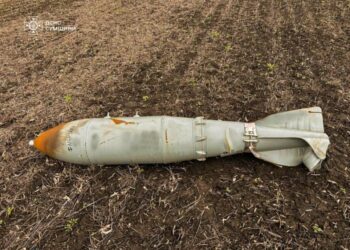 Минулої доби піротехніки ДСНС знищили 9 боєприпасів