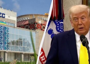 “Фантазії Трампа”: експертка пояснила, чому передача ЗАЕС Штатам не спрацює