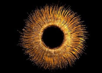 Ін’єкції золота в очі допоможуть в збереженні зору – дослідження