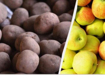 Картопля без паростків: що класти в мішок, щоб вона не проростала