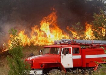 Конотопські лісівники попереджають про пожежну небезпеку