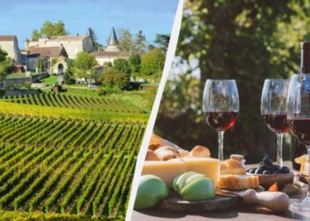 Красиво і смачно: названо десять винних регіонів Європи, які варто відвідати у 2025 році