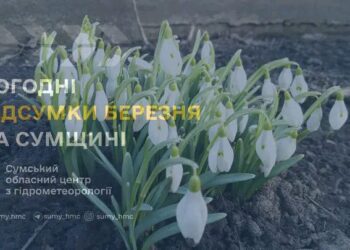 На Сумщині підбили погодні підсумки березня