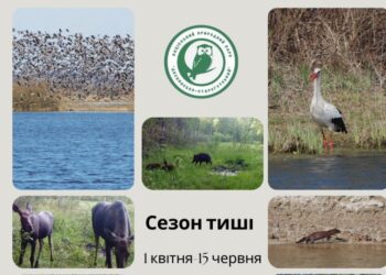 На Сумщині почався Сезон тиші