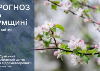 На Сумщині прогнозують тепло до 24 градусів