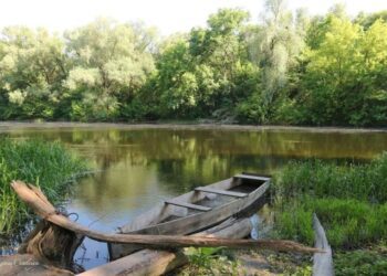 На Сумщині у річці Сейм концентрація кисню прийшла у норму