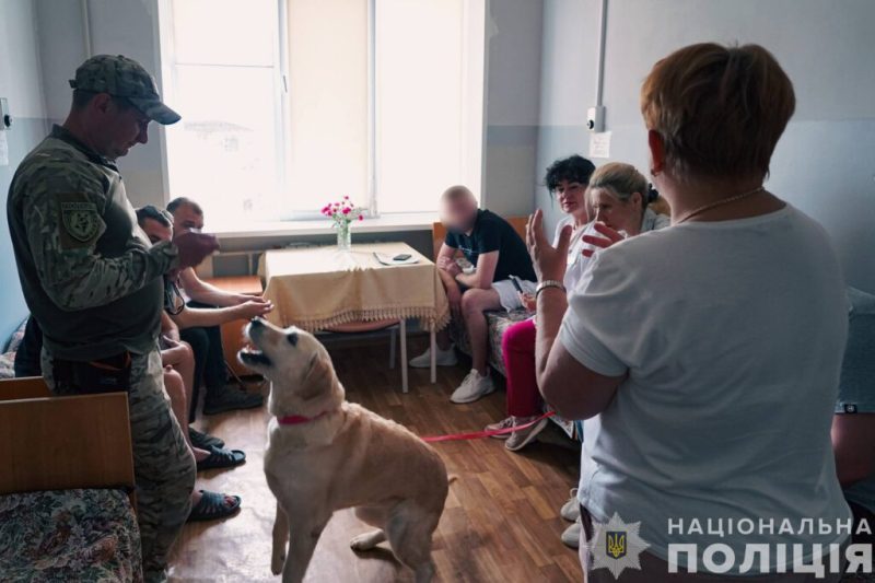 На Сумщині вперше запровадили каністерапію для поранених захисників