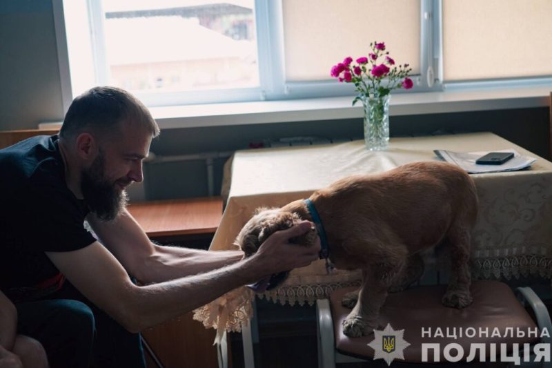 На Сумщині вперше запровадили каністерапію для поранених захисників