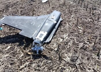 На Сумському напрямку прикордонники знищили три «Гербери» та один «Шахед» + Фото