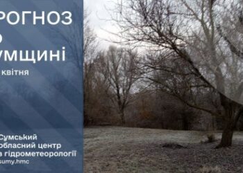 На вихідні на Сумщині прогнозують потепління