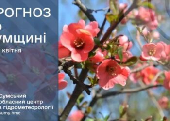 На вихідних на Сумщині прогнозують літню погоду