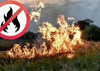 Напередодні Великодня лісівники Кролевеччини нагадують про пожежну небезпеку