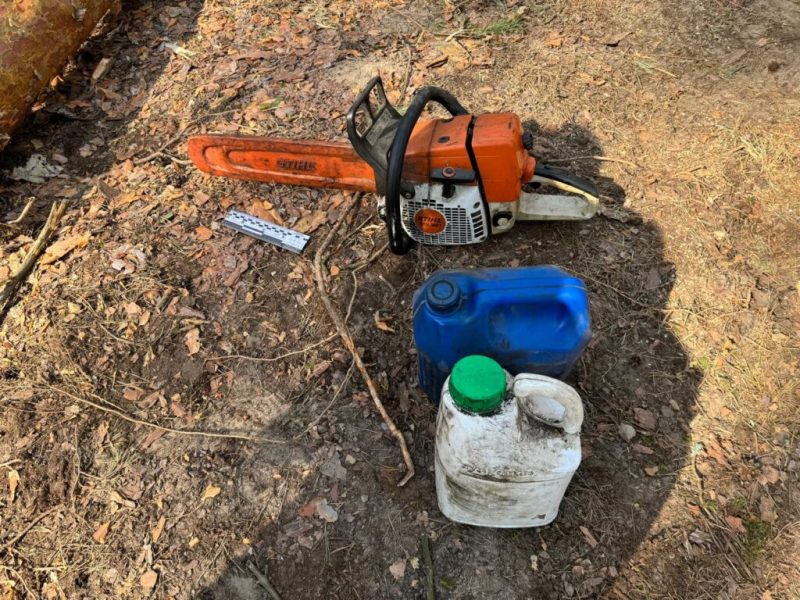 Поліція викрила незаконну вирубку дерев у ландшафтному парку «Сеймський» на 5,9 млн грн