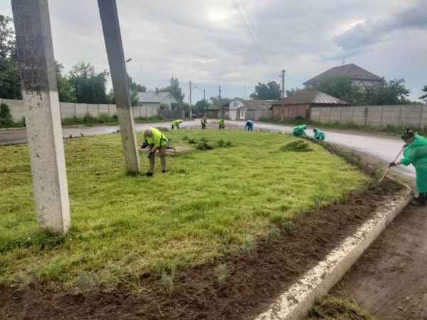 Працівники КП”Шостка-Зеленбуд”, попри зливу, продовжують прикрашати місто клумбами (фотофакт)