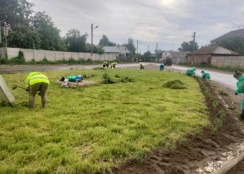 Працівники КП”Шостка-Зеленбуд”, попри зливу, продовжують прикрашати місто клумбами (фотофакт)