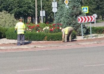 Працівники КП”Шостка-Зеленбуд” продовжують упорядковувати території по місту Шостка (фоторепортаж)