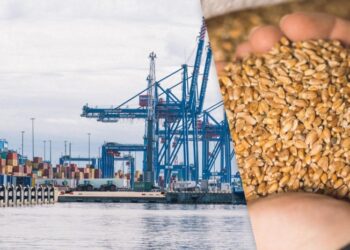 Росія планує вивозити більше краденого українського зерна за кордон, – ЗМІ