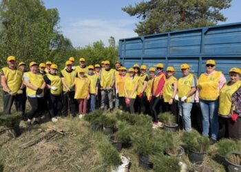 У Чернеччинській громаді висадили 18 тисяч саджанців сосни та дуба