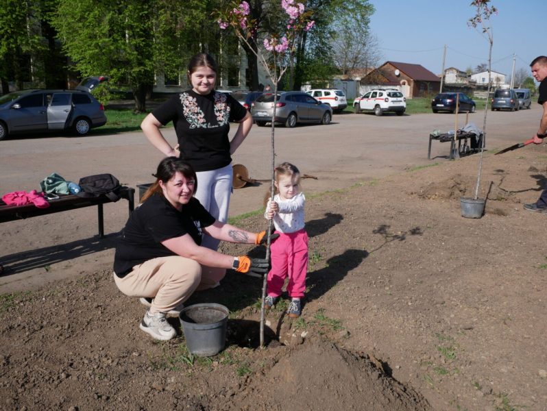 У Ромнах висадили алею сакур, присвячена світлій пам’яті загиблих Героїв України