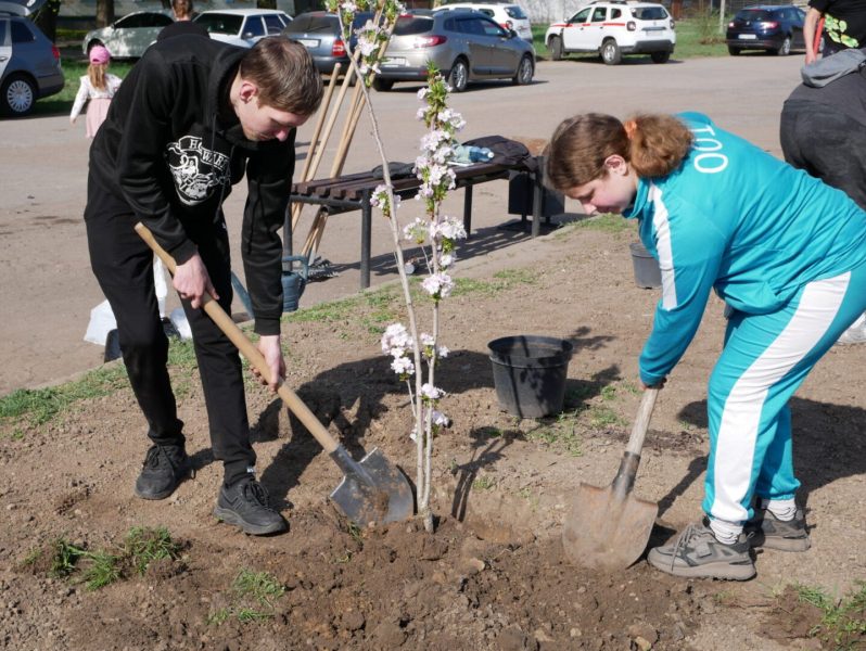 У Ромнах висадили алею сакур, присвячена світлій пам’яті загиблих Героїв України