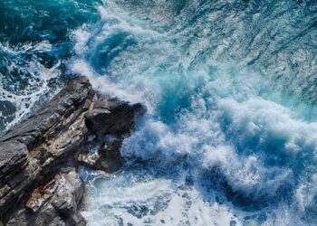 Темніючий океан: за 20 років зменшилася зона життя для морських організмів