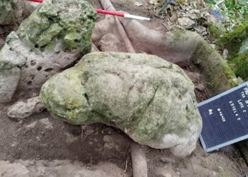 У джунглях Гватемали знайшли місто мая віком майже 3 тисячі років