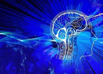 Малорухливий спосіб життя може зменшувати мозок – дослідження