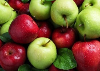 В Україні стрімко дорожчають яблука