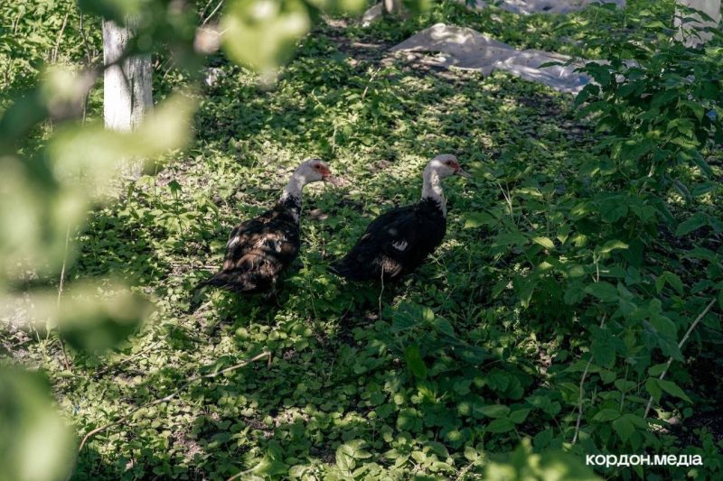 Вся інфраструктура пошкоджена або зруйнована: що зараз відбувається у прикордонній Краснопільській громаді?