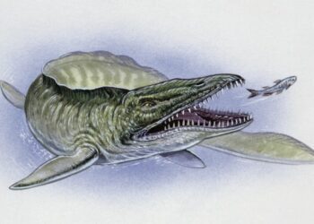 У США знайшли скам янілість мозазавра часів динозаврів