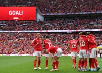 Ноттінгем Форест виступить у Прем’єр-лізі після 23-річної відсутності