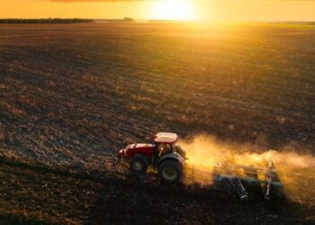 Україна нині засіяла 87% ярих зернових та зернобобових від плану