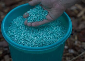 В ЄС запровадять мита до 100% на добрива з Росії та Білорусі