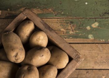 Буде свіжою і не проросте: як зберігати картоплю у квартирі та в підвалі