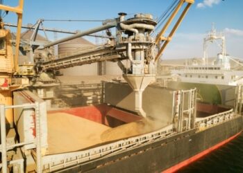 Україна скоротила експорт агропродукції на понад 23% – УКАБ