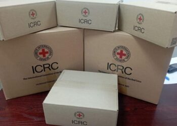 Червоний Хрест приймає заявки на допомогу від багатодітних родин ВПО, що проживають у Шосткинській громаді