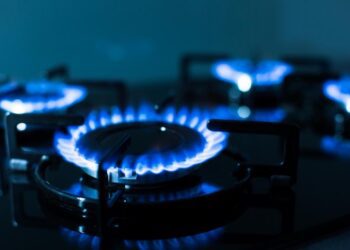 Депутати з’ясували, хто і скільки заробив на “пільговій” ціні на газ для населення