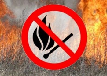 Державна екологічна інспекція закликає мешканців Конотопського району не спалювати суху рослинність