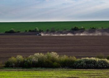 Весняна сівба: аграрії виконали 76% плану