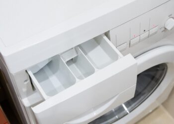 Як прибрати цвіль у лотку пральної машини: простий засіб із кухні впорається за хвилину